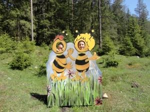 Bienenzuchtverein Pillersee